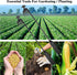 4Pcs 11.8Inch Weeding Tool Step Farmer Weeding Tool 4 Teeth Dual Purpose Manual Weeders Tool for Vegetable Gardening Backyard Farm Planting & Weed...