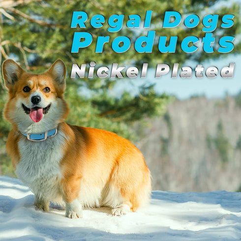 Regal Dog Products Large Light green Dog Collar with Heavy Duty Double Buckle & D Ring | Vinyl Coated, Custom Fit, Adjustable Biothane Dog Collar ...