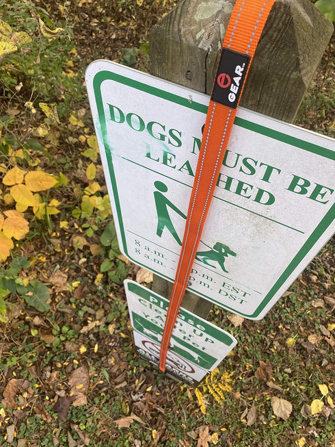 Nylon Dog Leash with Locking Carabiner for Large Medium Small Breeds – Heavy Duty Reflective Nylon Lead with Padded Handle for Everyday Walking, R...