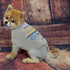 Pets First San Diego Chargers T-Shirt, Medium...