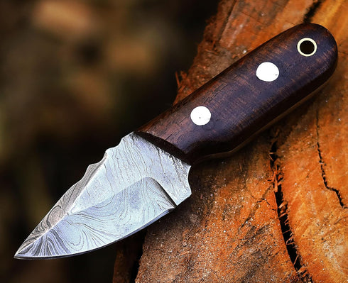 Ancilla Handmade Damascus Hunting Knife - EDC Camping Knife - Fixed Blade Mini Pocket knife - Full Tang Bushcraft and Skinning Knife with Leather ...