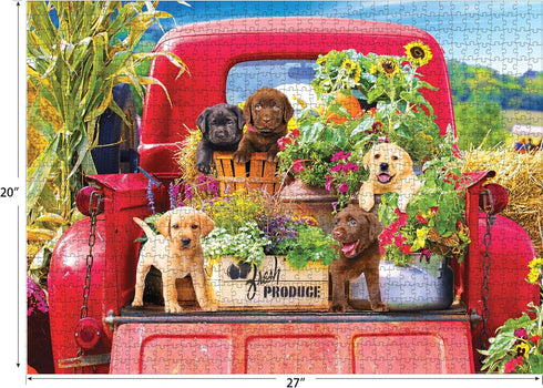 RoseArt - Kodak Premium - Stowaways - 1000 Piece Jigsaw Puzzle for Adults...