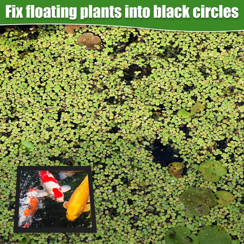 6pcs Fish Feeding Rings, Aquarium Floating Plant Rings, Round & Square Fish Feeder Rings Floating Plant Corral Fish Tank Plant Ring for Bettas, Go...