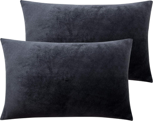 NTBAY 2 Pack Zippered Velvet Queen Pillowcases, Super Soft and Cozy Luxury Fuzzy Flannel Pillow Cases with Zipper, 20x30 Inches, Charcoal Grey...