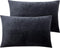 NTBAY 2 Pack Zippered Velvet Queen Pillowcases, Super Soft and Cozy Luxury Fuzzy Flannel Pillow Cases with Zipper, 20x30 Inches, Charcoal Grey...