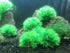 BEGONDIS 4Pcs Aquarium Decorations Fish Tank Artificial Green Water Plants Made of Soft Plastic...
