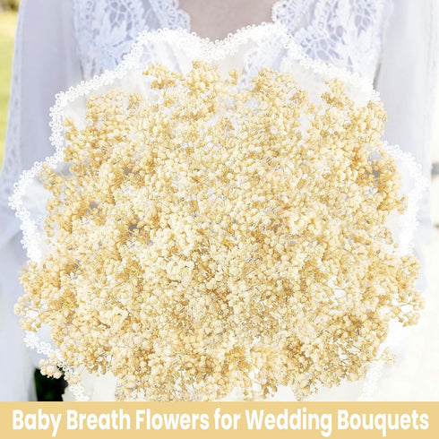 Baby Breath Flower...
