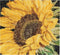 Thea Gouverneur - Counted Cross Stitch Kit - Sunflower - Aida - 18 count - Embroidery Kit for Adults - DMC Embroidery Threads and other Cross Stit...
