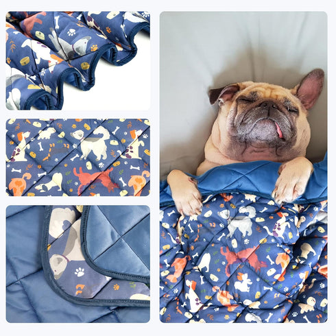 wegreeco Premium Cooling Blanket for Dogs and Cats,Lightweight Cooling Mat for Dogs,Cooling Pad for Dog Large,Pet Weighted Cooling Blanket for Dog...