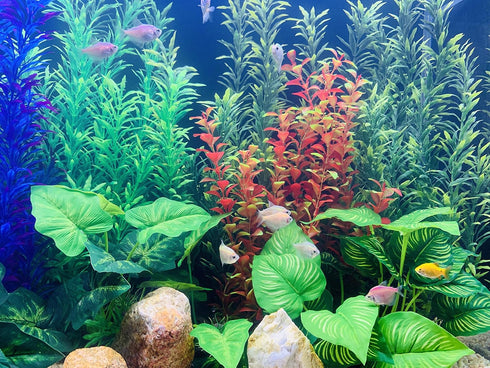 BEGONDIS 2 Pcs Artificial Water Plants, Fish Tank Aquarium Decorations, Made of Soft Plastic...