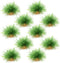 AQUA KT Aquarium Landscape Foreground Grass Seaweed Green Plants for Marine Freshwater Fish Tank Decoration, Pack of 10...