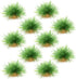 AQUA KT Aquarium Landscape Foreground Grass Seaweed Green Plants for Marine Freshwater Fish Tank Decoration, Pack of 10...