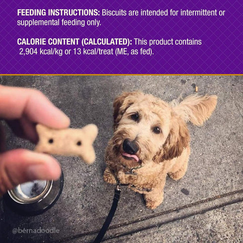 Old Mother Hubbard by Wellness Soft & Chewy Beef & Sweet Potato Natural Dog Treats, Crunchy Oven-Baked Biscuits, Ideal for Training, Mini Size, 8 ...