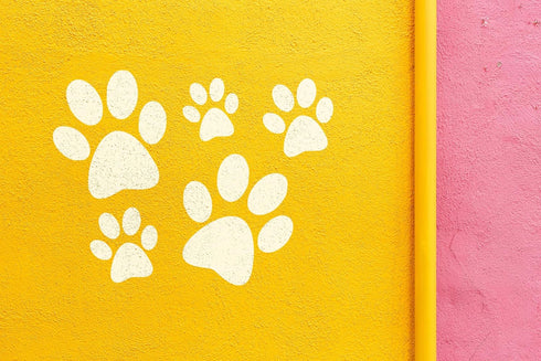 Dog Puppy Paw Prints Stencil 8.5" x 11" - Adorable Footprint Design for Pet Lovers...