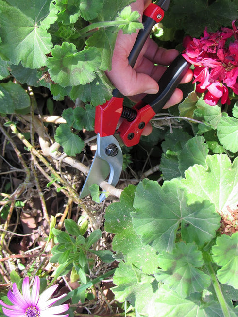 TABOR TOOLS S821A Bypass Pruning Shears, Makes Clean Cuts, Great for S-M Size Hands. Professional Sharp Secateurs, Hand Pruner, Garden Shears, Cli...