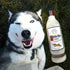 Liquor Bottle Dog Toy - Plush Squeaky Dog Toys Funny Drink Parody - Alcohol Dog Toy - Dog Birthday Toy - Cute Dog Toys - Puppy Gifts - Puppy Stuff...