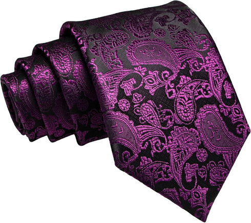 JEMYGINS Mens Solid Color Paisley Necktie and Pocket Square with Tie Clip Sets...