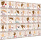 YIYDONG 36 Pieces ASL Alphabet Line Bulletin Board Set ABC Number Sign Language Flash Cards Wall Decorations for Pre-School Kindergarten Elementar...