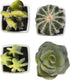 MyGift Set of 4 Assorted Miniature Artificial Succulent & Cactus Plants in White Cube-Shaped Pots...