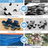 Jigsaw Puzzles 500 Pieces for Adults Puzzle Landscape Challenging Puzzle for Kids Teens Elderly Natural Scene Hard Puzzles Great Gift for Boys Gir...