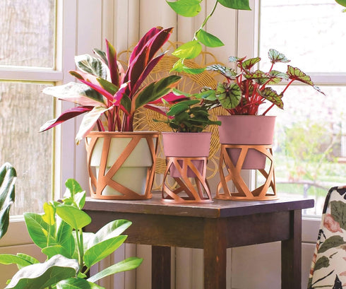 The HC Companies 5 inch Indoor Plant Pot with Stand – Small Curio Blush Planter with a Geometric Stand in a Copper Finish...
