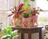 The HC Companies 5 inch Indoor Plant Pot with Stand – Small Curio Blush Planter with a Geometric Stand in a Copper Finish...