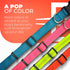 BLAZIN 'Color Me Happy!' Reflective Dog Collar for Day and Night - Adjustable Soft Neoprene Padded Dog Collar in 4 Vibrant Colors - Keeps Dogs Saf...