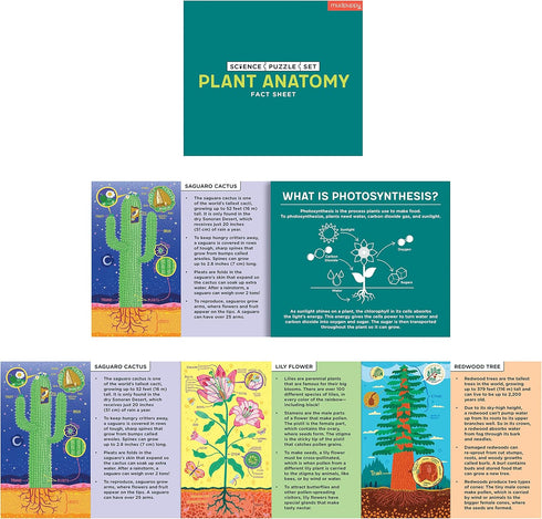 Plant Anatomy Science Puzzle Set from Mudpuppy - Includes Three 100 - Piece Puzzles with Colorful Illustrations, Ages 6+, Trifold Insert with Fun ...