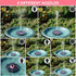 Solar Fountain with Pink Flower,Solar Bird Bath Fountains No Battery 2024 Upgraded Glass Solar Panel,Solar Water Pump Fountain for Bird Bath Garde...