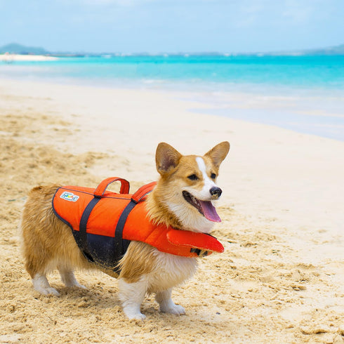 Outward Hound Granby Splash Orange Dog Life Jacket, Small...