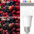 LED Light Bulbs Daylight 15W: 1600Lm 100W Equivalent LED Bulbs E26 Edison Screw Base Super Bright 5000K LED Bulb A19 15W Light Bulbs for Indoor Ou...