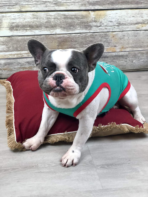 Parisian Pet Funny Christmas Holiday Dog Cat Pet Shirts Tee Tanks - Naughty or Nice, Santa Outfit, Elf Size, Santa's Helper, Sorry Santa I Ate You...