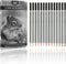 Mr. Pen- Sketch Pencils for Drawing, 14 Pack, Graphite Pencils for Drawing Pencils, Back to School Supplies...
