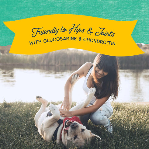 Natural Balance Limited Ingredient Rewards Jumpin' Stix, Grain-Free Dog Treats for Adult Dogs of All Breeds, Chicken Recipe, 10 Ounce (Pack of 1)...