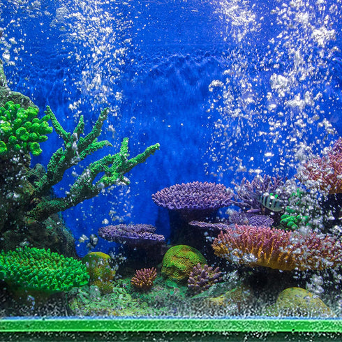 Aquarium Air Stone Bar, Air Stone Bubble Release Oxygen Diffuser Bar for Aquarium Fish Tank, 12.5inch (Green 2pcs)...