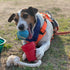 Made in USA Flingsy Dog Ball Launcher and Rope Tug Fetch Thrower Combination Throwing Toy with 100-Percent Natural Cotton Rope...