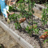 Soaker Hose 25FT for Garden Beds - 3/4" Heavy Duty Double Layer Drip Irrigation Hose, Save 85% Water- Linkable Flat Soaker Hose for Lawn Flower Be...