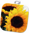 3D Rose Bold Country Sunflowers Pot Holder, 8" x 8"...