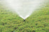 Rain Bird 1802HDSPRS Pressure Regulating (PRS) Professional Dual Spray Pop-Up Sprinkler, 180° Half Circle Pattern, 8' - 15' Spray Distance, 2" Pop...