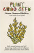 Plant Good Seed Organic Dense Flowered Mullein Seeds - Pack of 250, Heirloom Seeds for Planting Herbs, Flowers - Gardening Supplies, Wildflower, H...