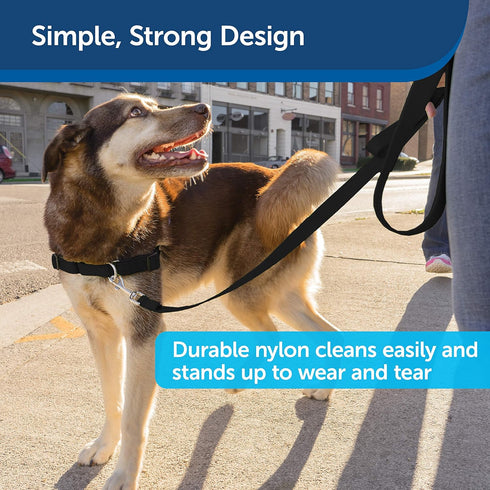 PetSafe Nylon Dog Leash - Strong, Durable, Traditional Style Leash with Easy to Use Bolt Snap - 1 in. x 4 ft., Black...