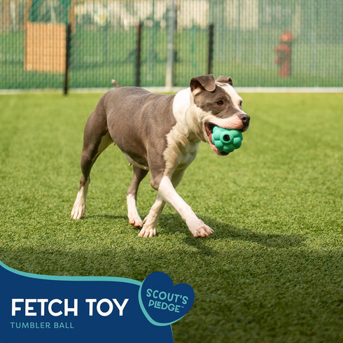 Good Scout Tumbler Ball Dog Fetch Toy, Indoor and Outdoor Rubber Dog Toy for Medium and Large Dogs...