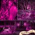 MYGOTO Purple Christmas Lights Outdoor, 2Pack 13Feet 50Count Halloween String Lights Connectable 120V Plug in for Outdoor Indoor Garden Party Chri...