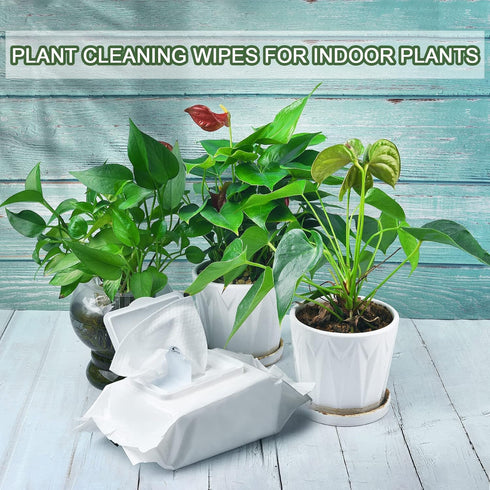 Plants Cleaning Wipes for Leaf Shine, Clean and Photosynthesis, Leaf Cleaner for House Plants Outdoor Plants (80 Wipes)...