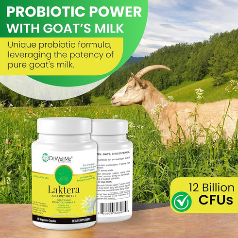 Dr.WellMe | Laktera Probiotic Digestive Aid | Truly Effective for Gut Health | 60 Capsules, 12 Billion CFU + Lactobacillus Bulgaricus | Kosher...