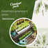 Grow Your Own Herbs Garden Kit - 12 Herb Seeds Variety Pack - Basil Seeds, Mint Seeds, Rosemary Seeds, Oregano Seeds, Parsley Seeds & More Packets...