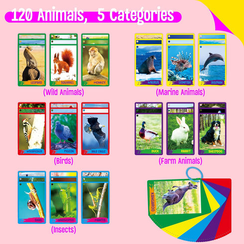My First 120 Animals, 60PCS Realistic Zoo Animal Cards Farm/Wild/Marine Animals/Insects/Birds Flashcards Montessori & Science Educational Toys Pre...