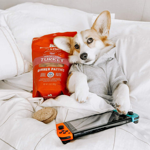 Stella & Chewy's Freeze Dried Raw Dinner Patties – Grain Free Dog Food, Protein Rich Tantalizing Turkey Recipe – 5.5 oz Bag...