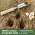 Berry&Bird Bulb Planter Tool, 12" Garden Bulb Transplanter Tool, Stainless Steel Manual Hole Digger with Wooden Handle, Transplanting Agricultural...