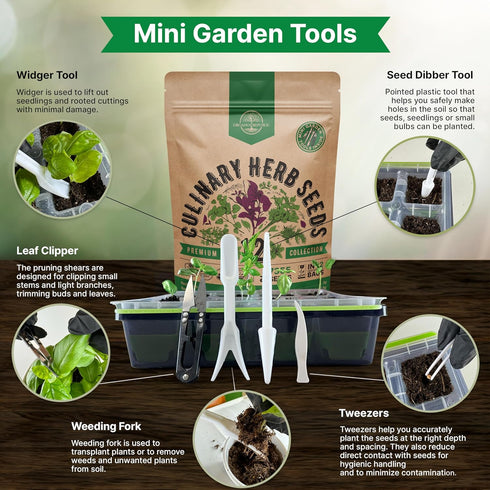 Organo Republic 12 Culinary Herbs Seeds Variety Pack - 7,355+ Heirloom, Non-GMO, Herbs Seeds for Outdoor and Indoor Home Gardening, Including Basi...